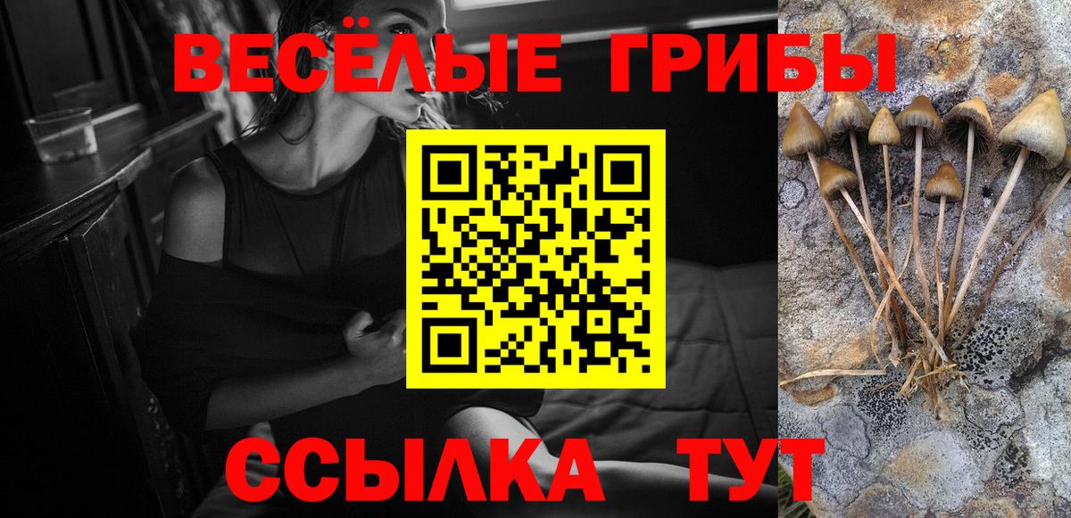 Псилоцибиновые грибы мицелий  Вход с VPN  Псилоцибиновые грибы прущие грибы  где найти наркотики  Шадринск 