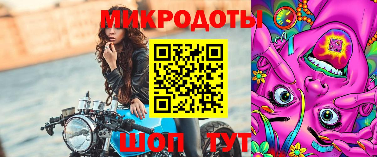 Галлюциногенные грибы Psilocybe Шадринск